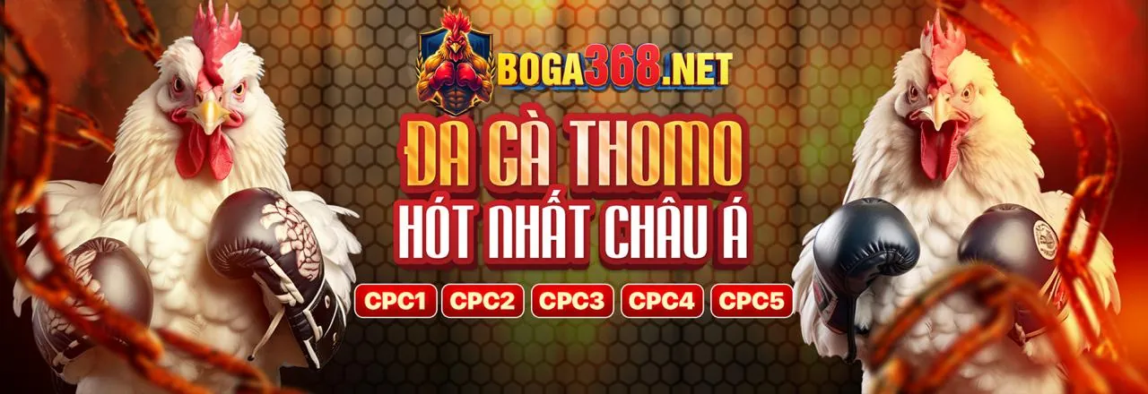 Đá Gà Trực Tuyến Hấp Dẫn tại 88â casino