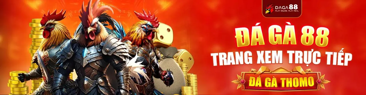Hình ảnh chính blog 88â casino